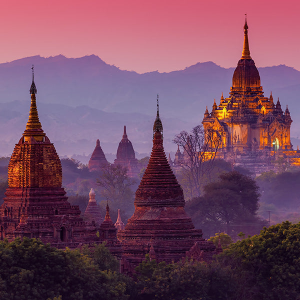 Exotische Mischung "Abenteuer"