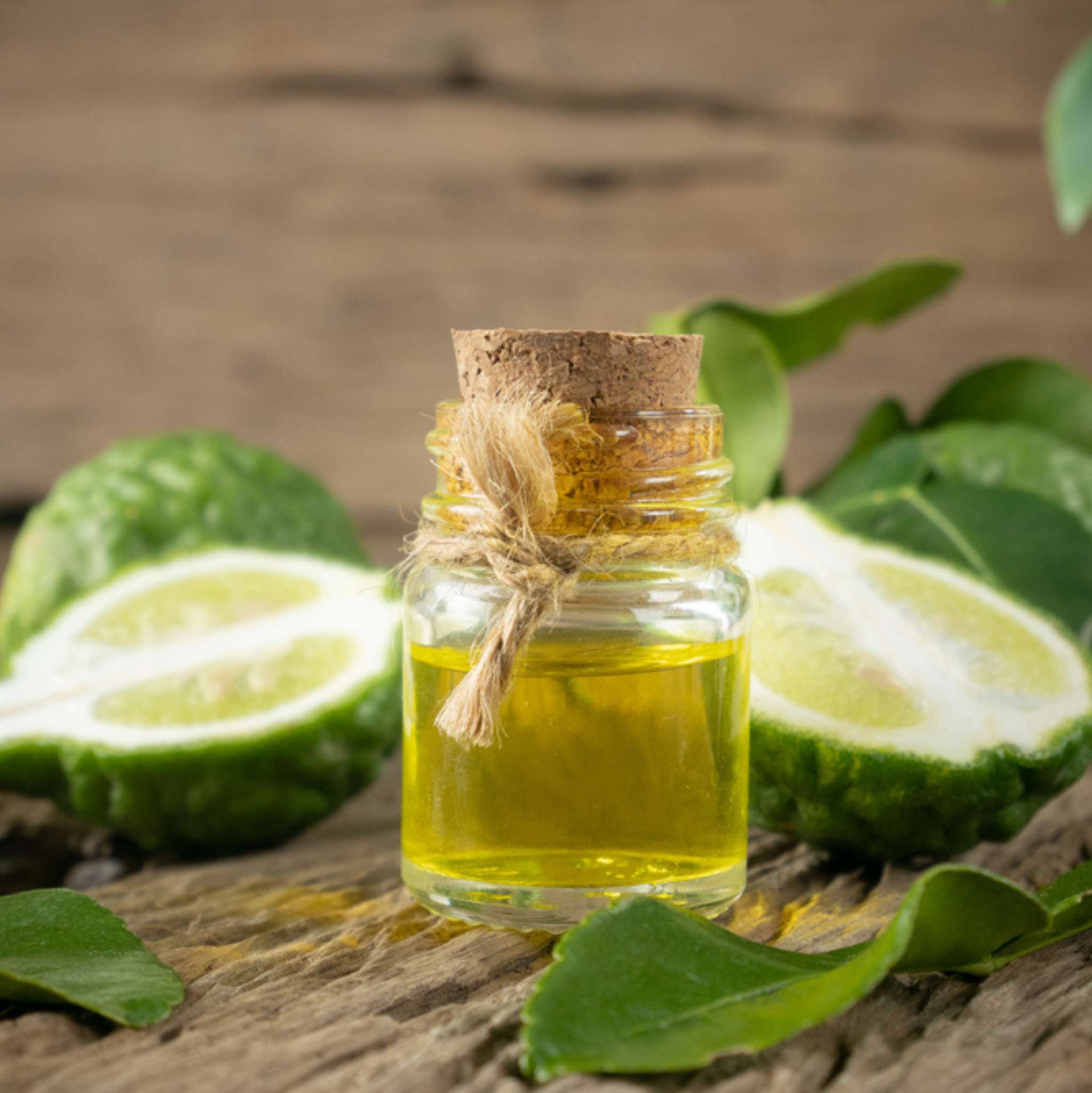 Bergamot Sicilian Essential Oil