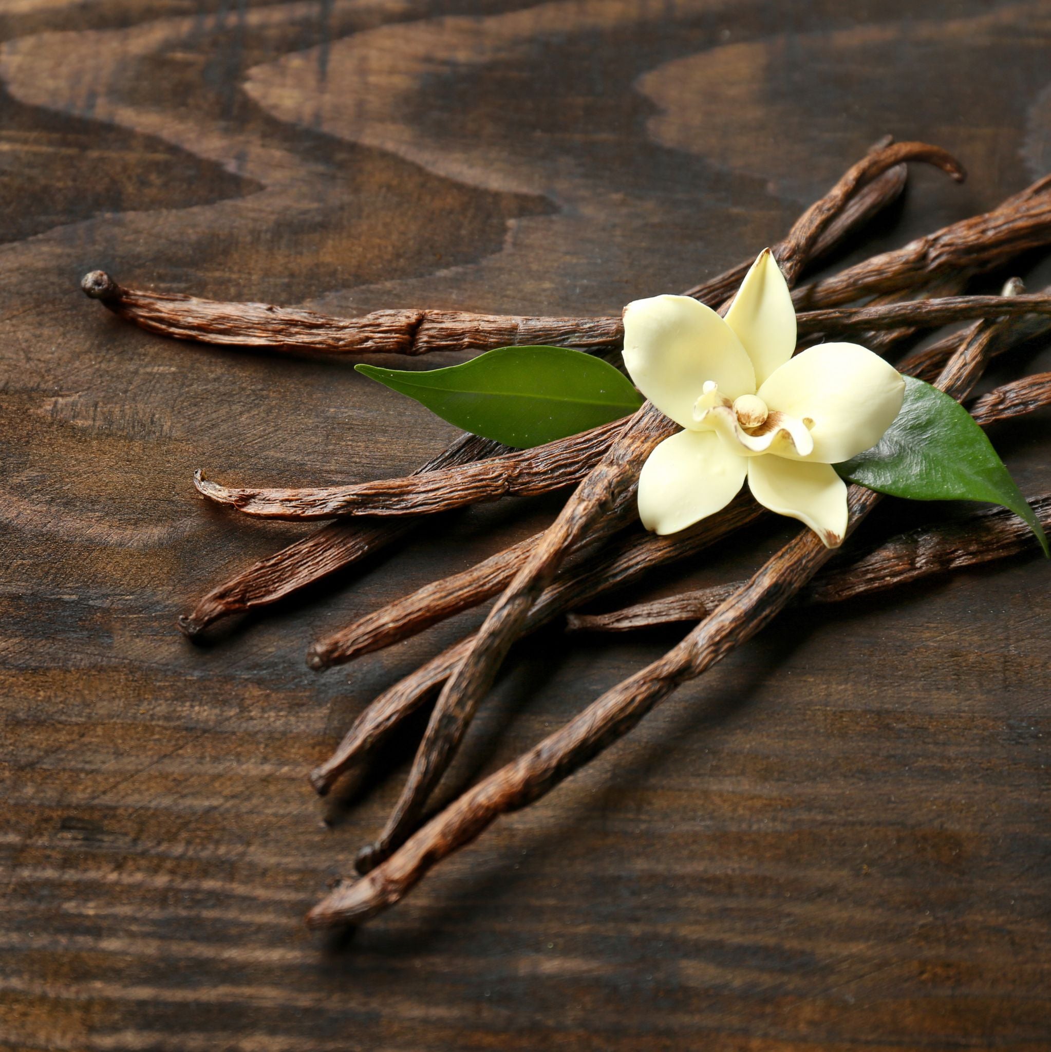 Creamy Vanilla Fragrance Oil