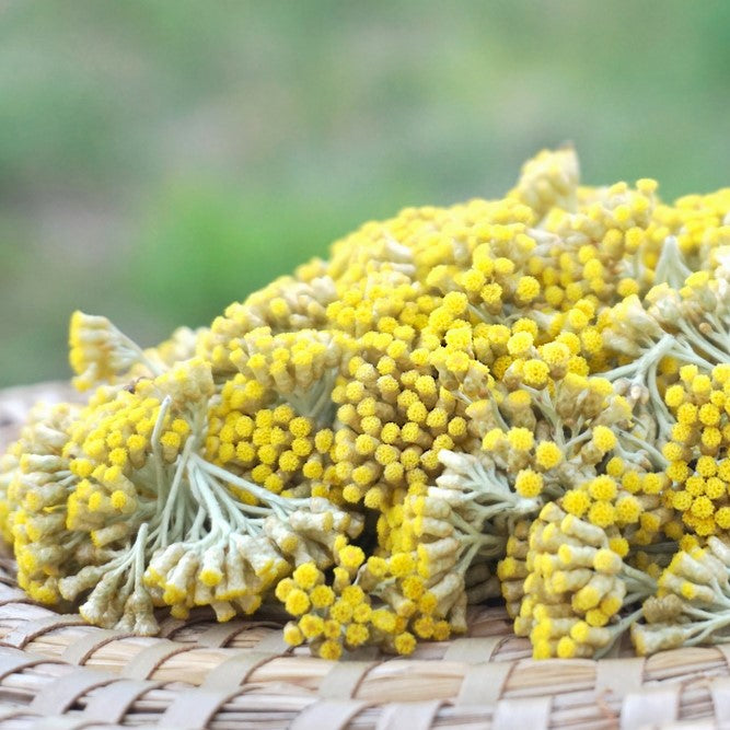 Helichrysum Hydrosol Organic