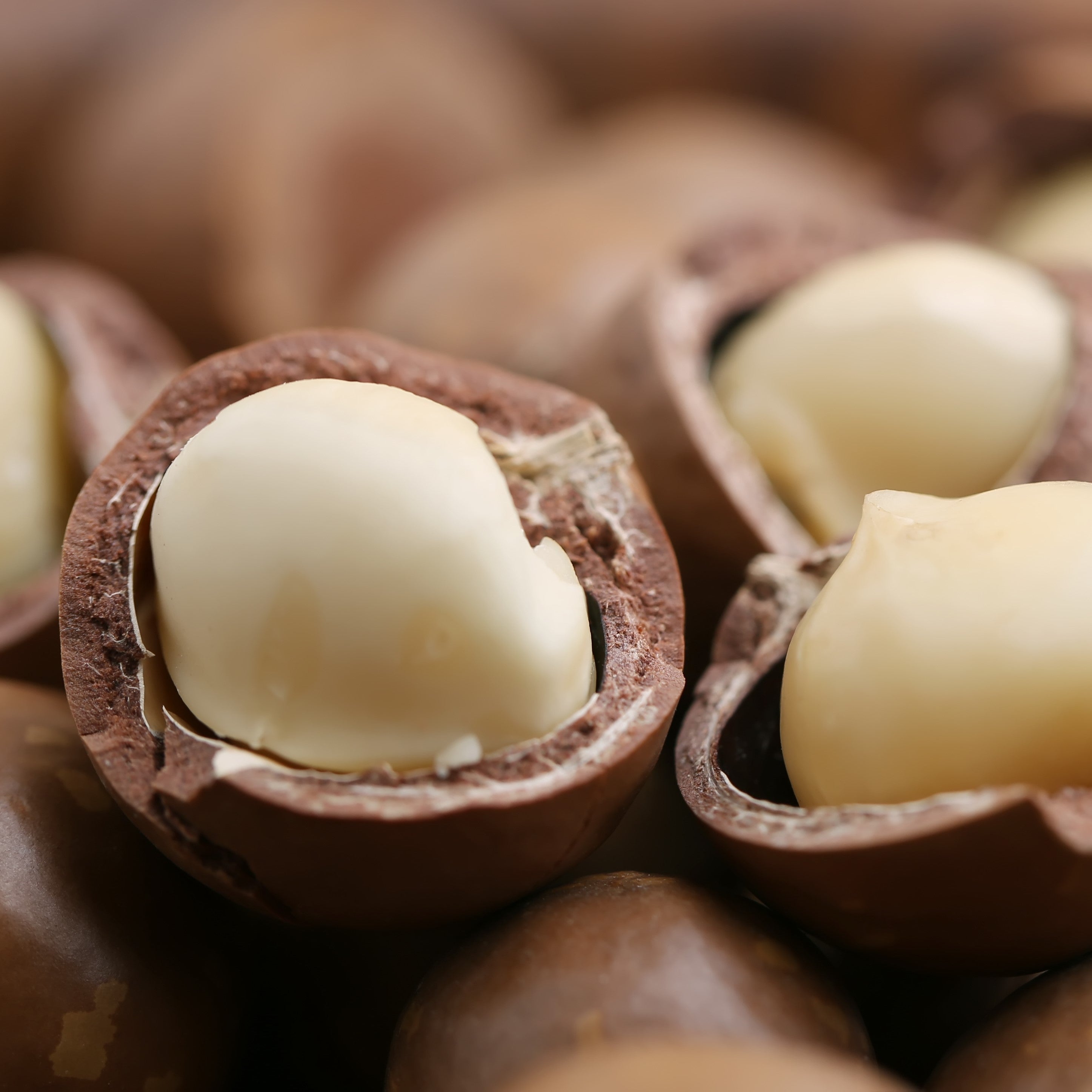 Macadamia Oil cold pressed, refined