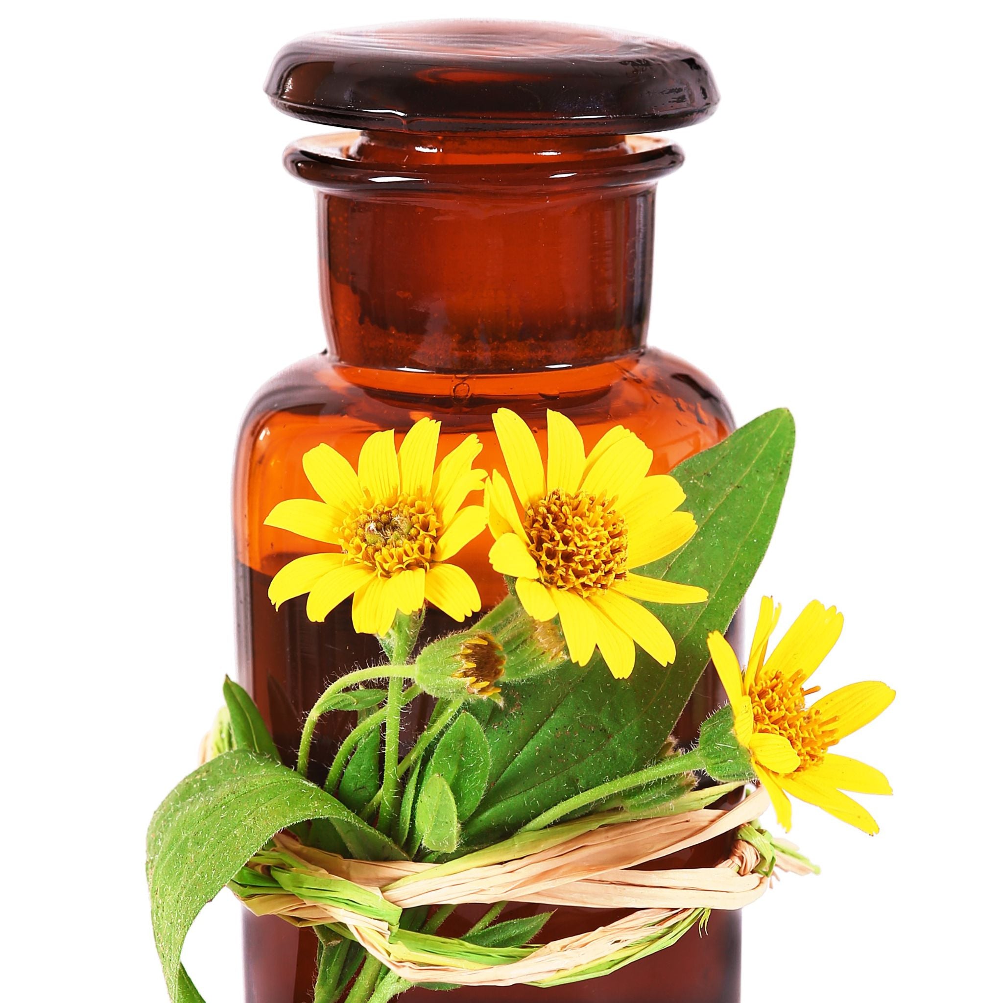 Arnikaöl *BIO - Mazerat in Sonnenblumenöl