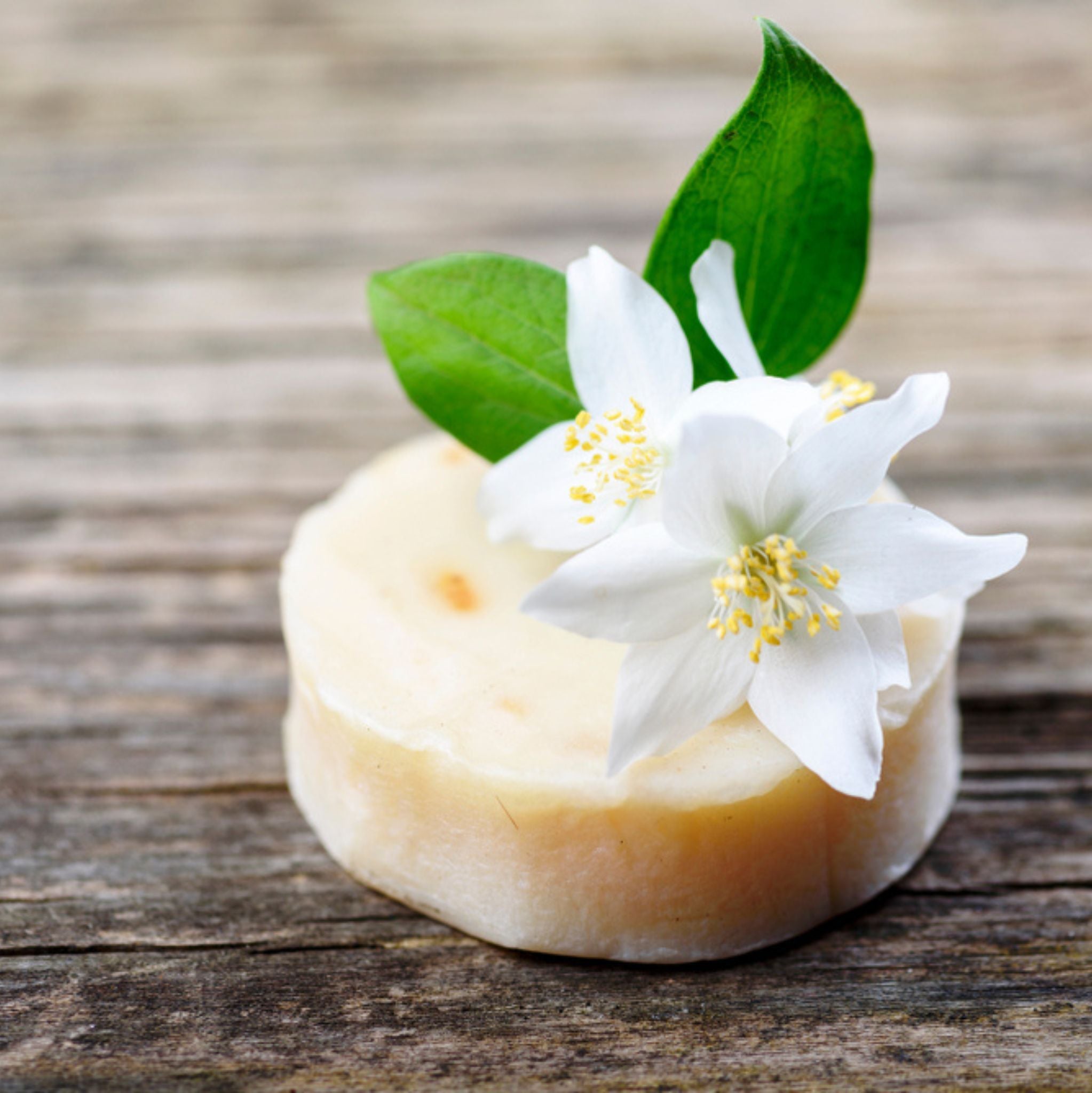 Jasmin Arabisch 10 ml, 3 % Absolue in Jojobaöl