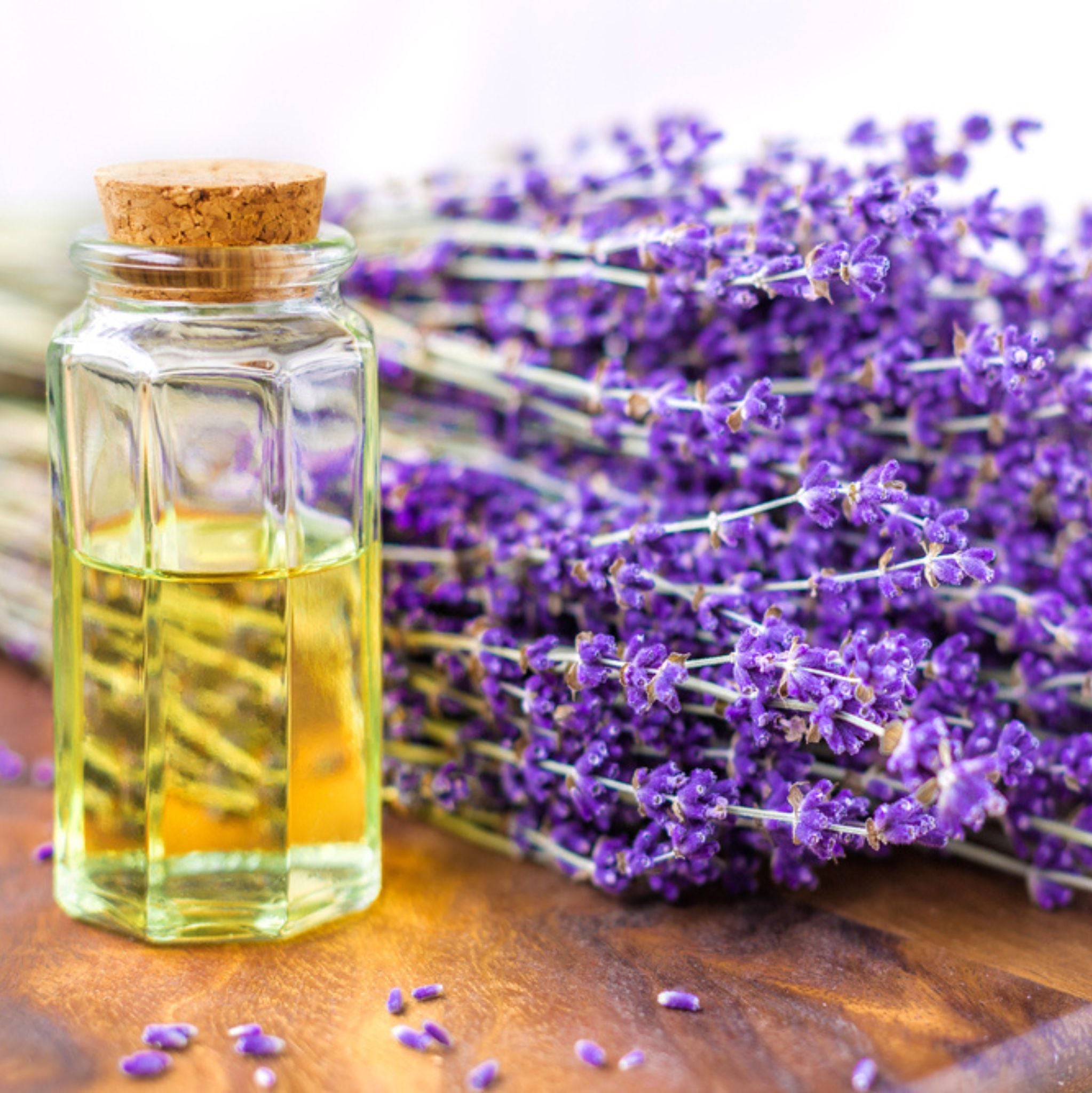 Lavandin Organic Essential Oil