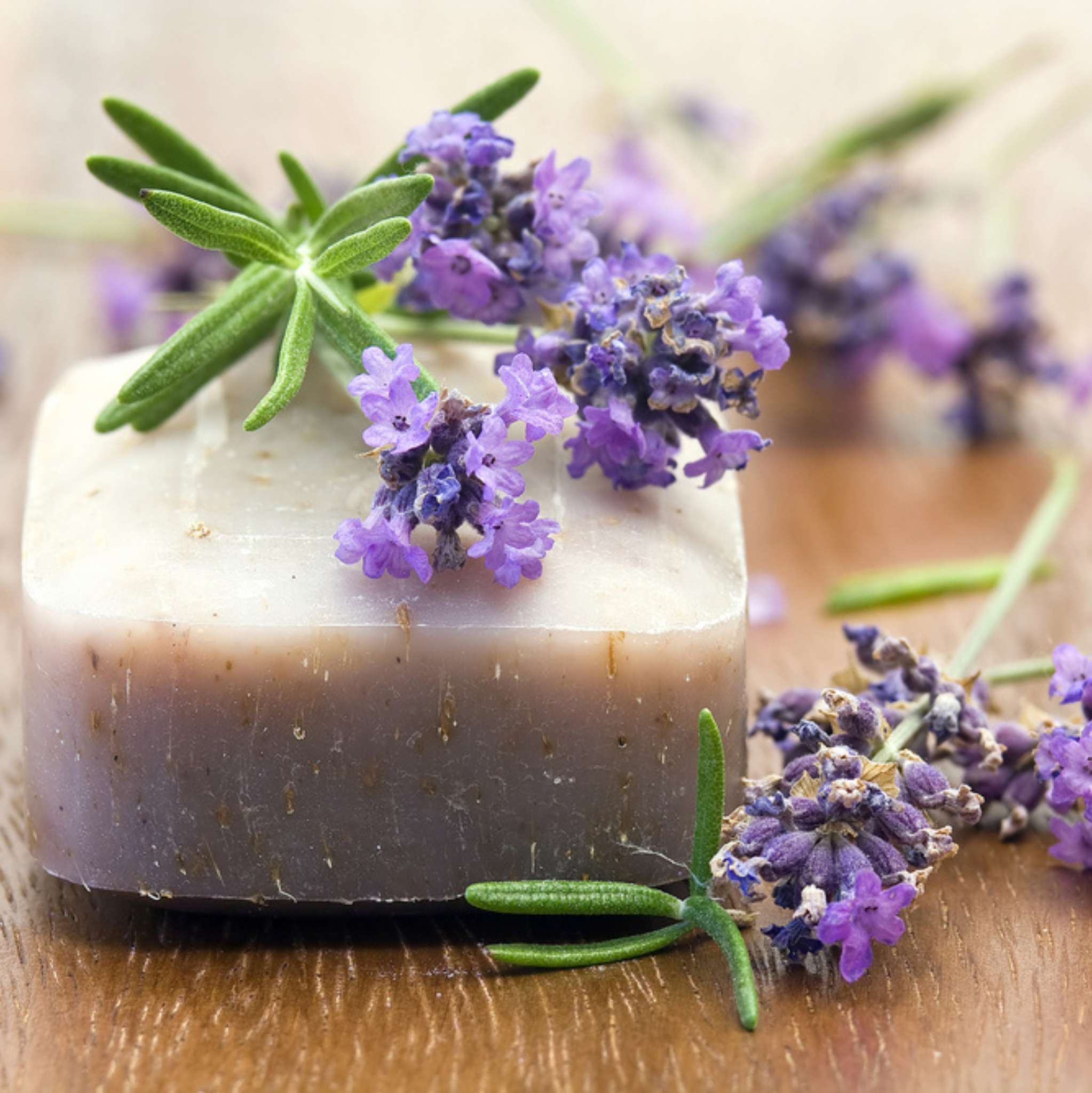 Lavendel Mt. Blanc 38/40, ätherisches Öl