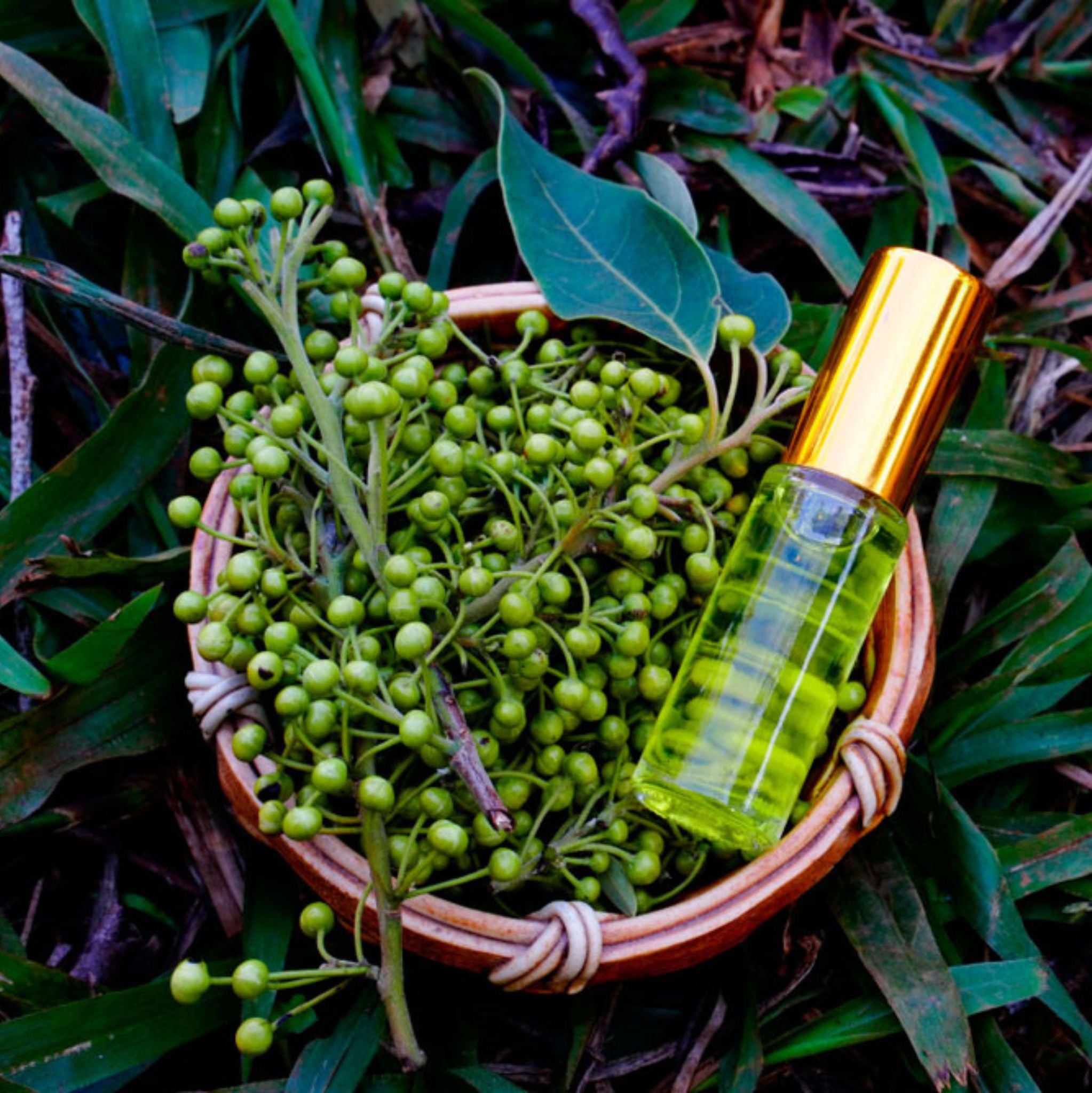 Litsea Cubeba 10 ml, ätherisches Öl