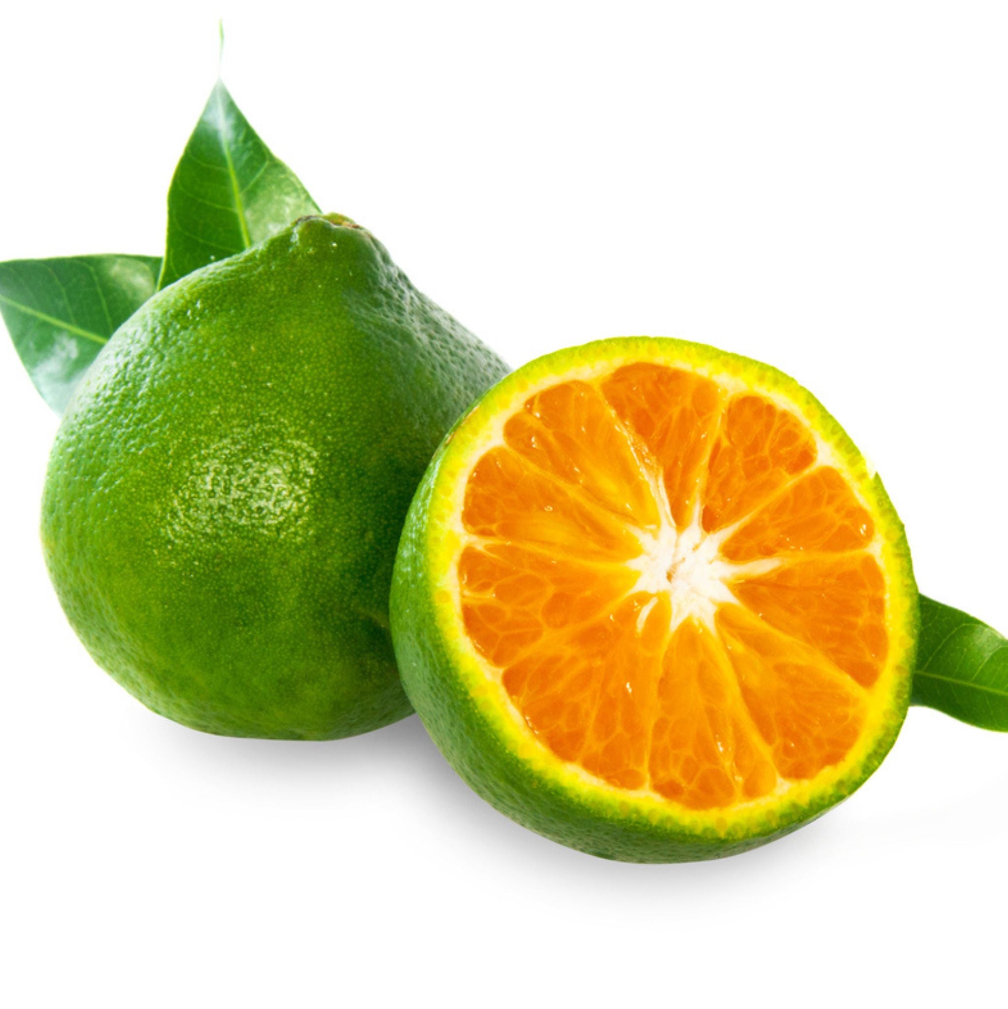 Mandarin Green Essential Oil