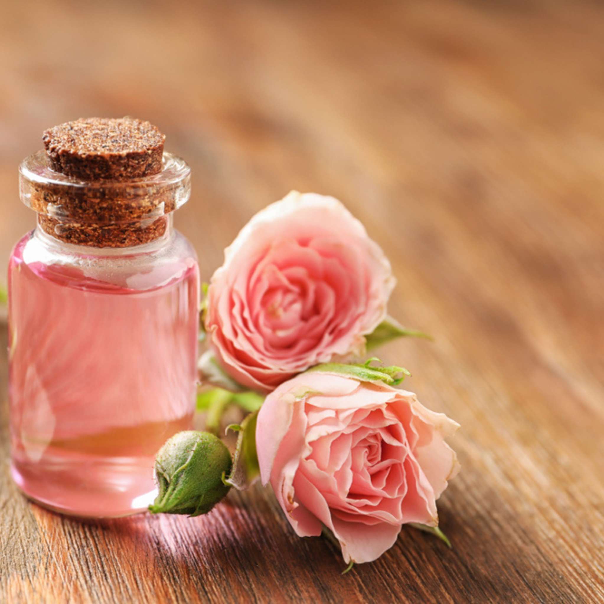 Rose 10 ml, 3 % Dilution in Jojobaöl