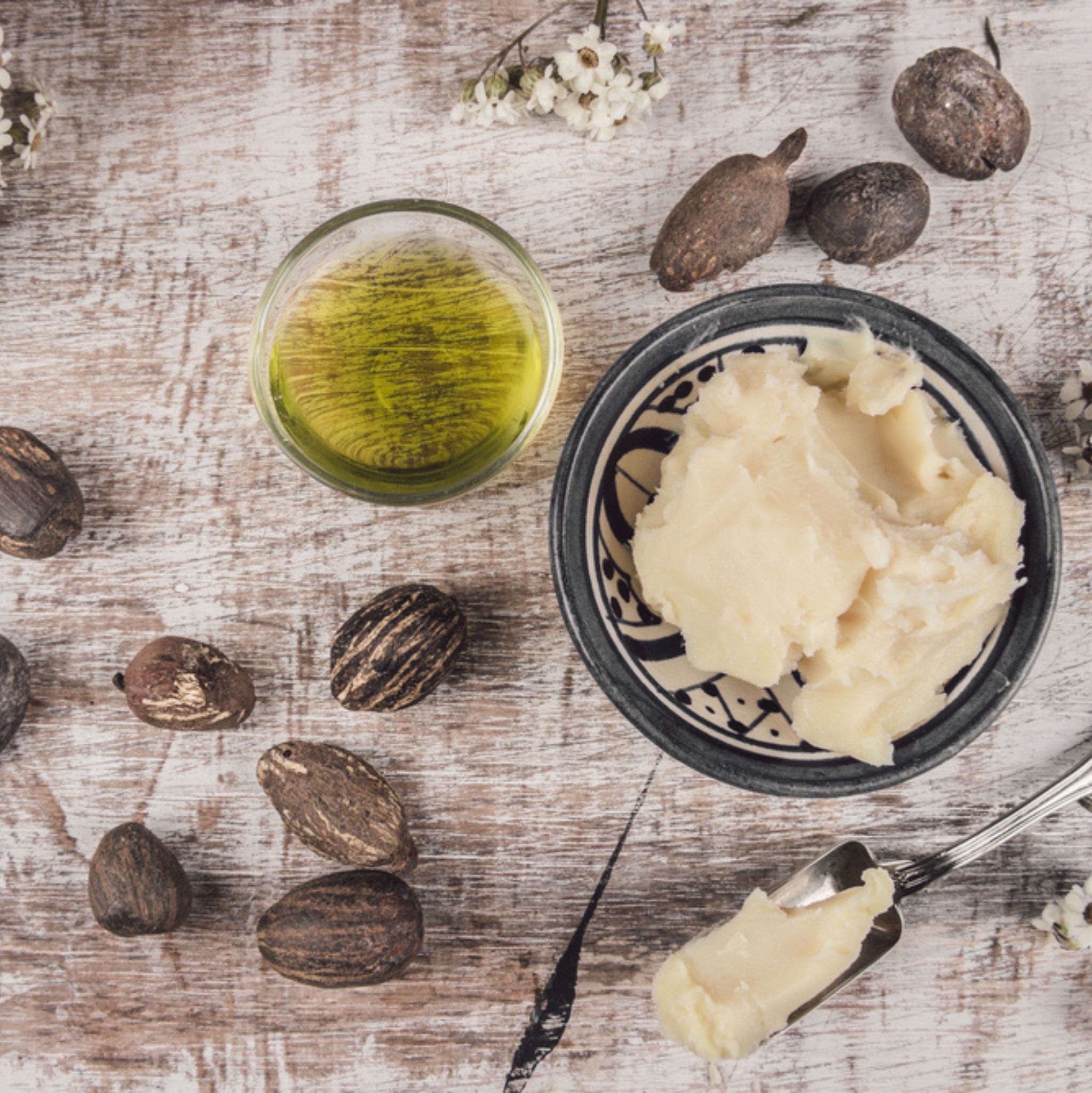 sheabutter aufbewahren Shea Butter Organic unrefined