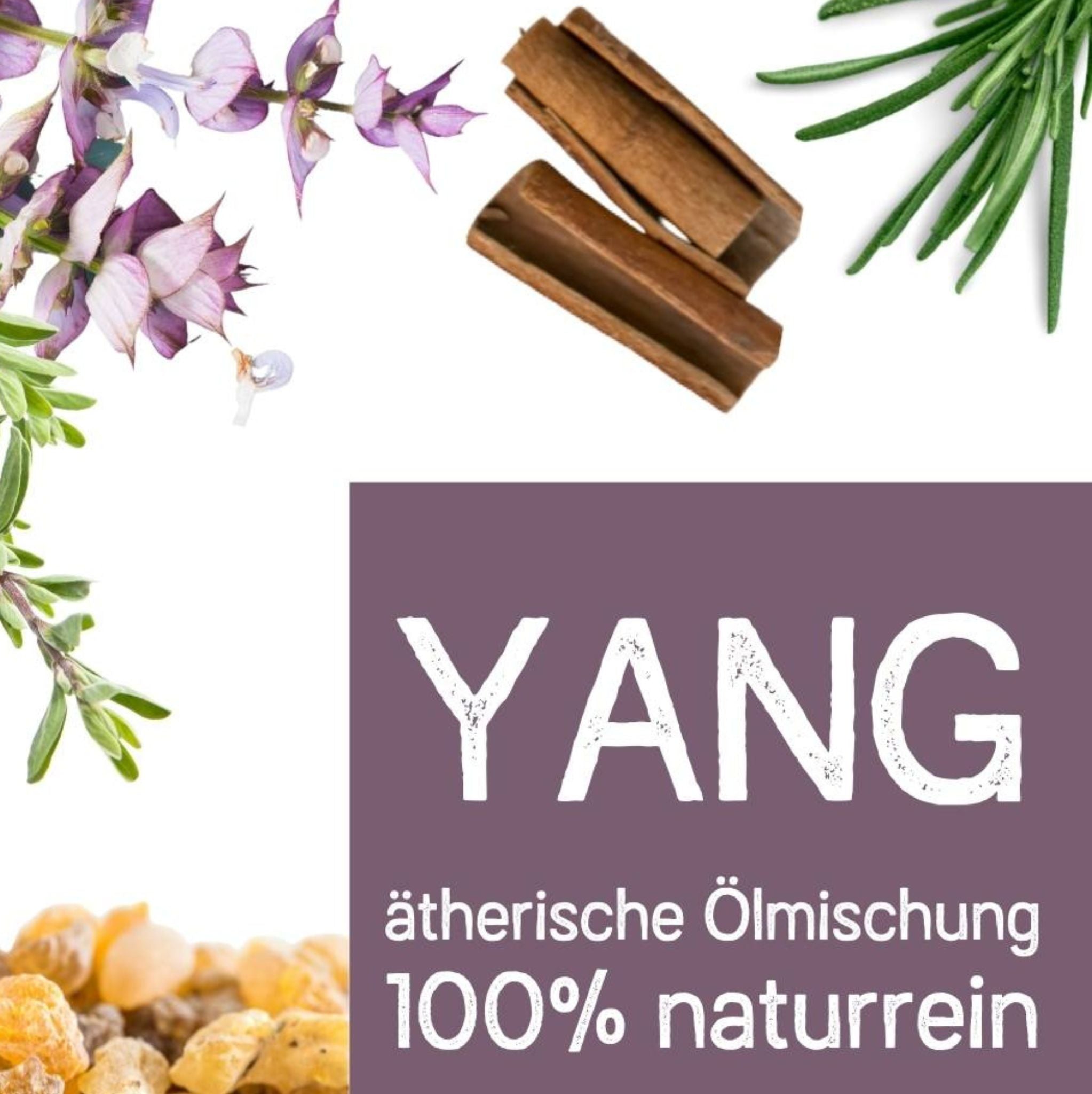 Yang 10 ml, ätherisches Öl