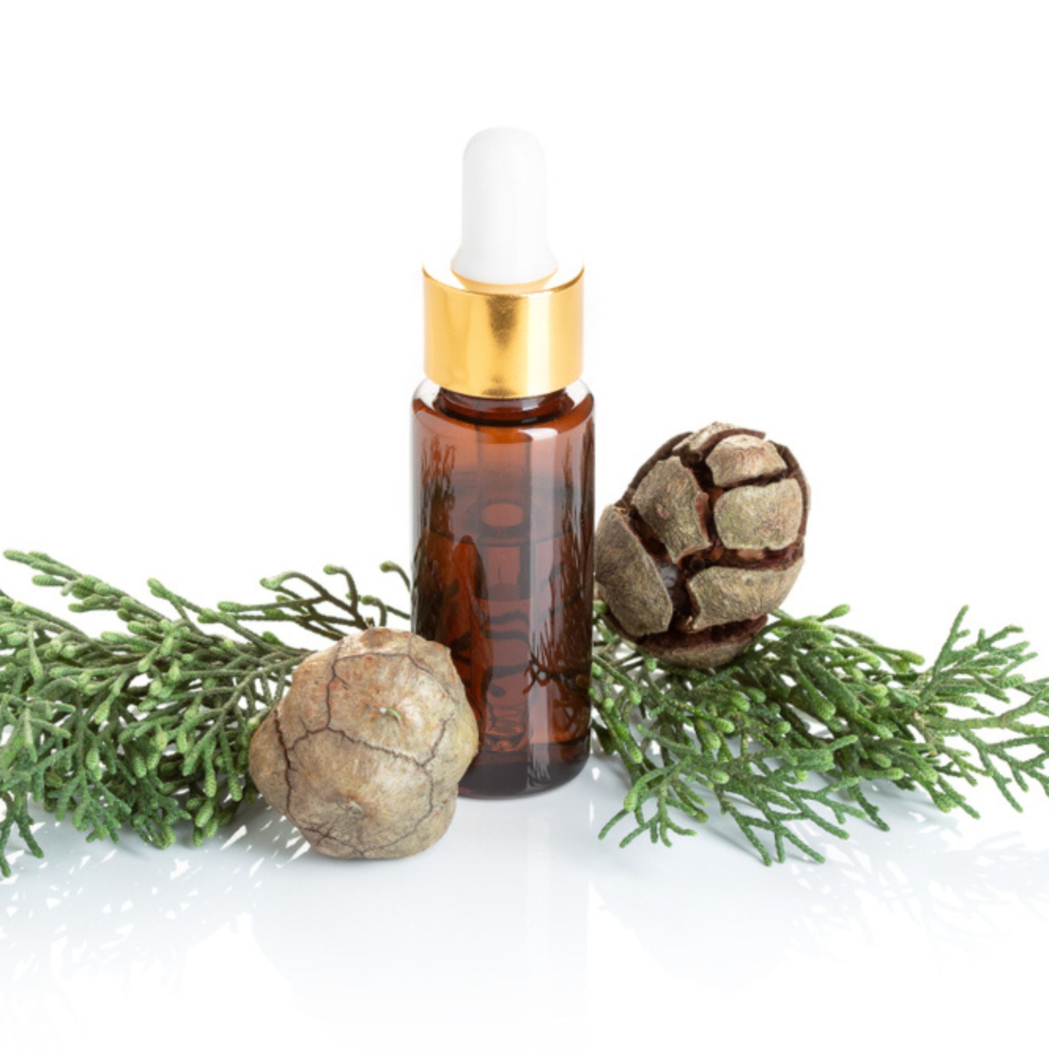 Cypress Essential Oil