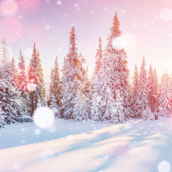 Weihnachtliche Mischung "Winterwonderland"