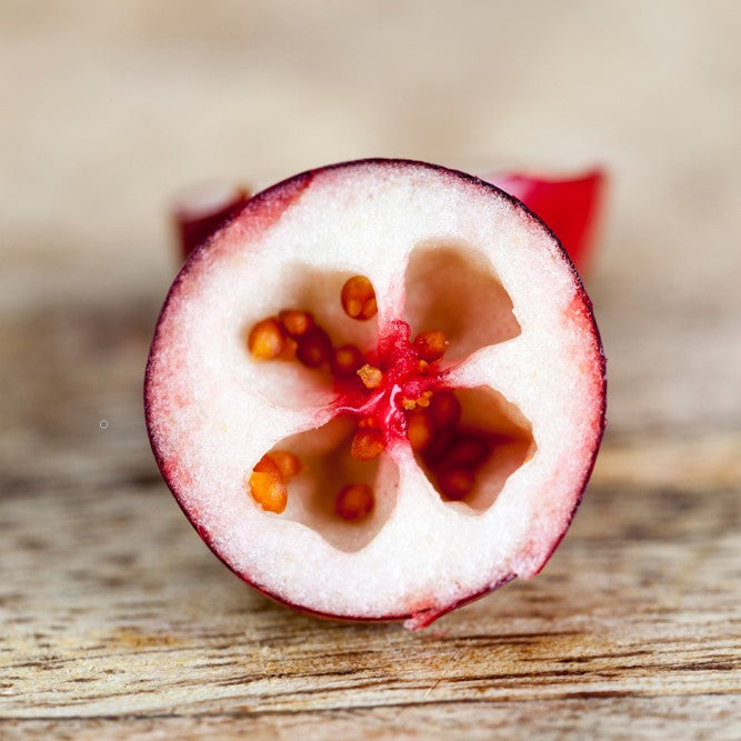 Cranberry Oil cold pressed