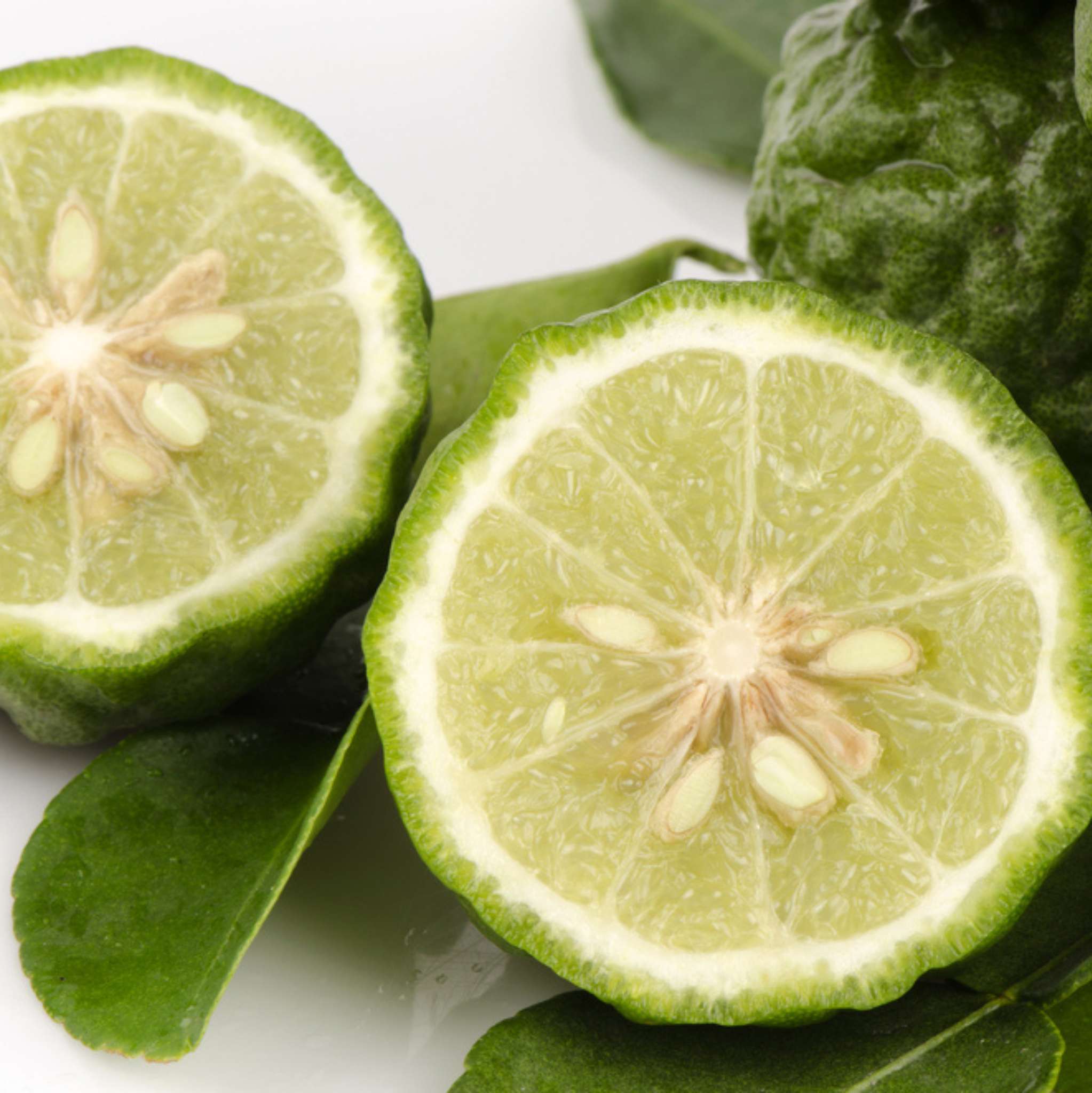 Bergamot Sicilian Essential Oil