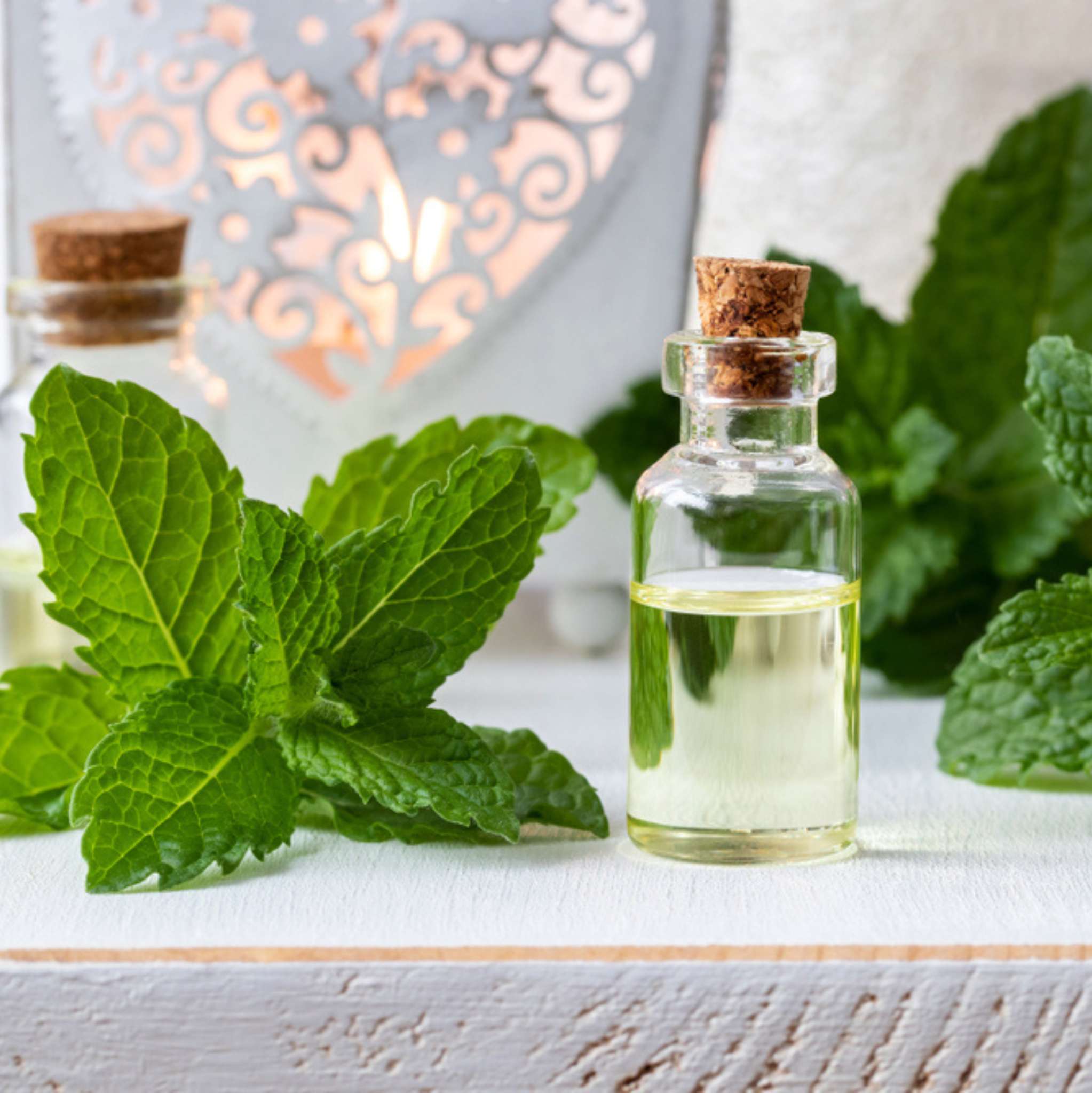 Pfefferminze *BIO, ätherisches Öl