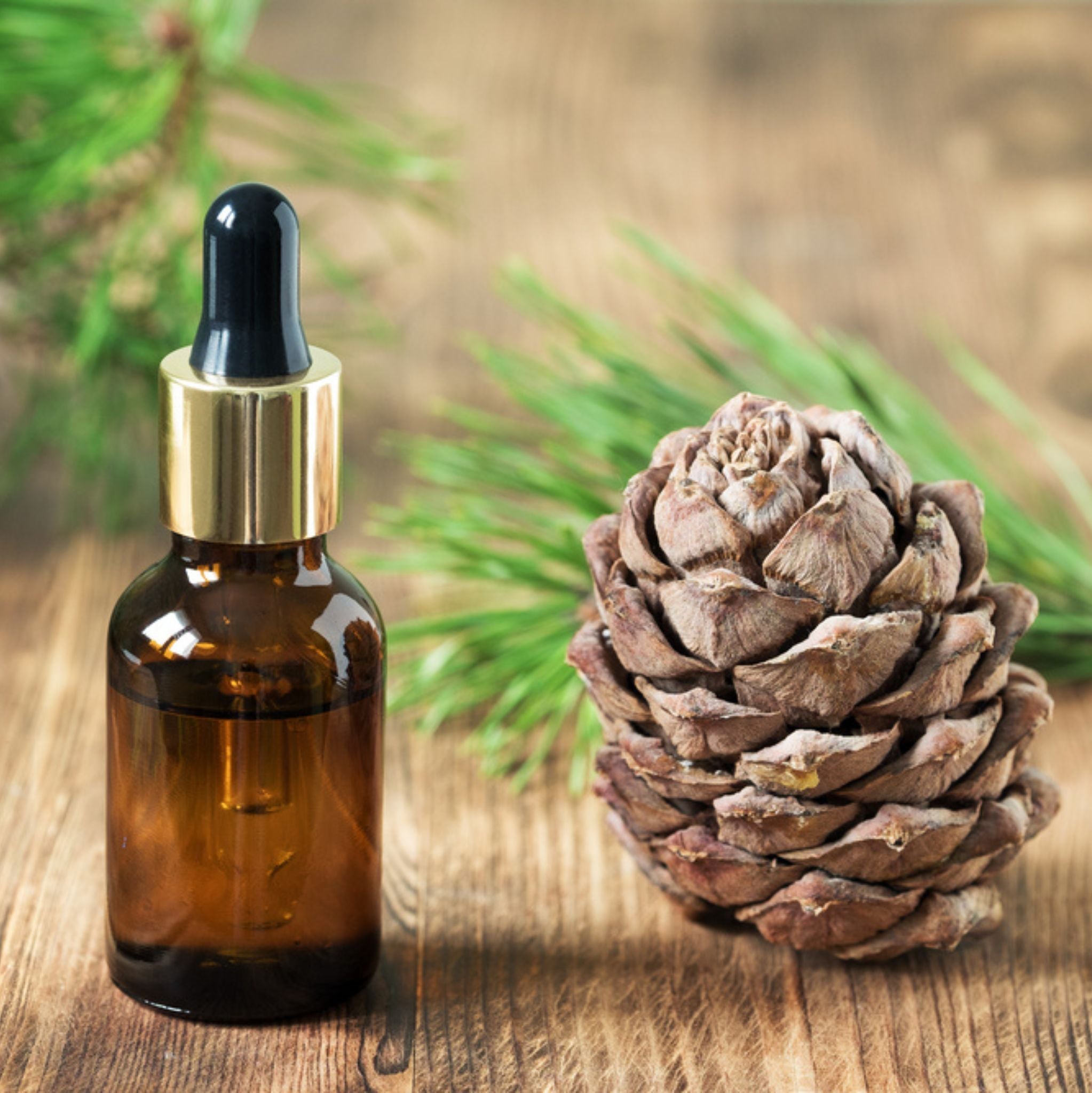 Zedernholz Himalaya, ätherisches Öl