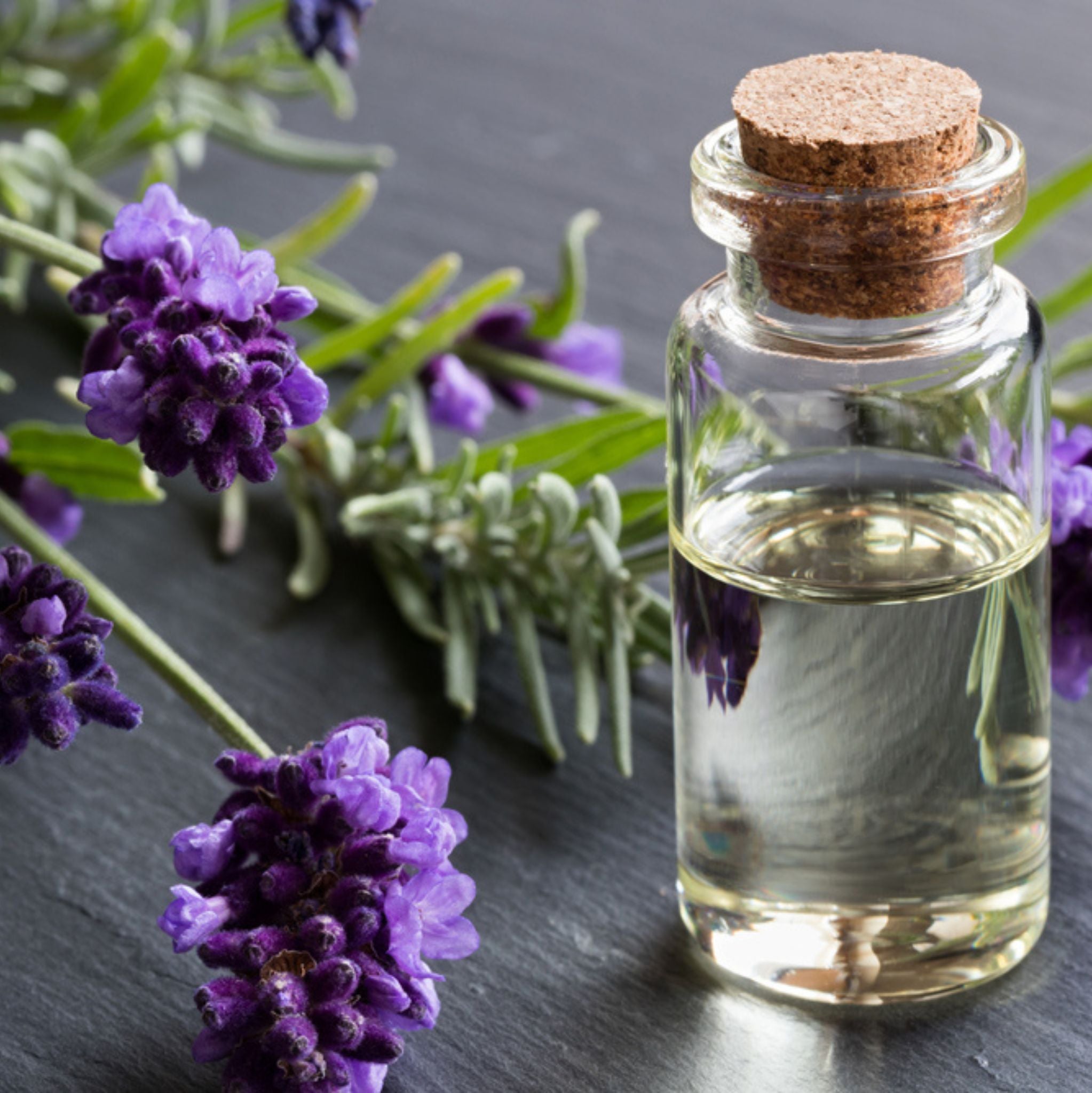 Lavandin Grosso, ätherisches Öl