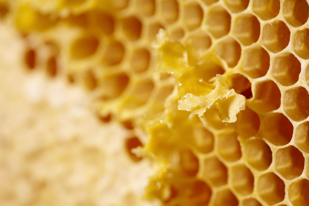 Bienenwachs kosmetisch