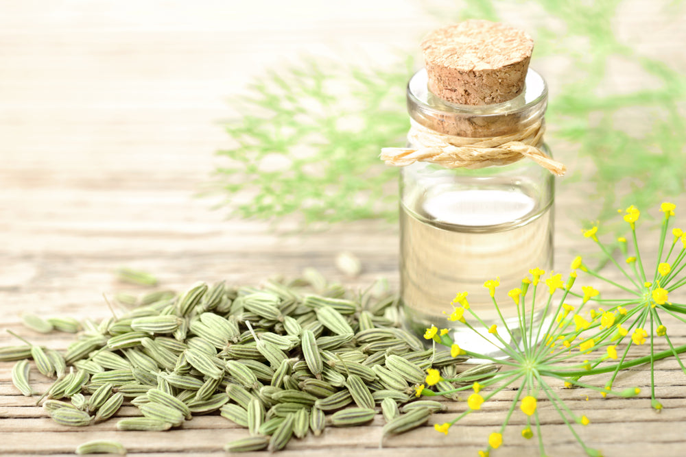 Fennel Sweet Essential Oil