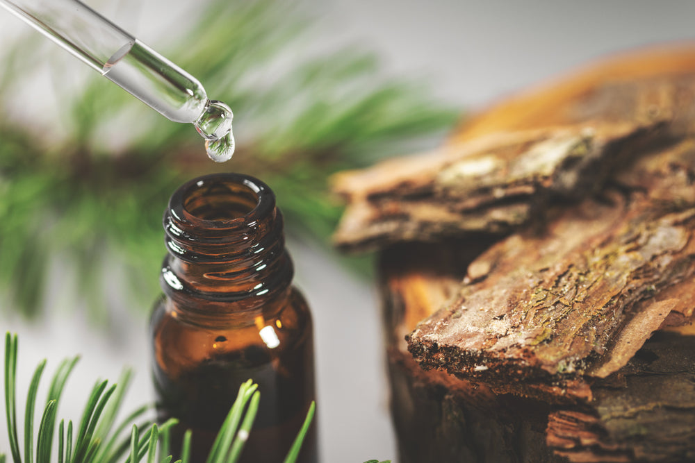 Mountain Pine Organic Essential Oil