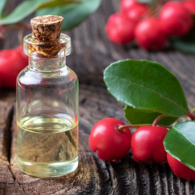 Wintergreen Organic Essential Oil