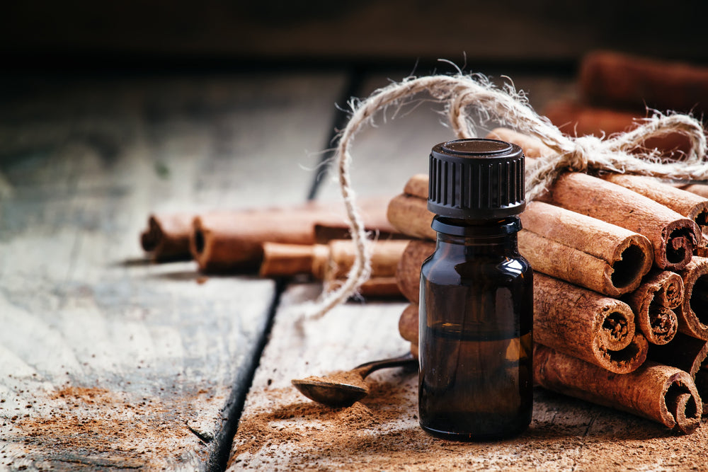 Cinnamon Bark Essential Oil