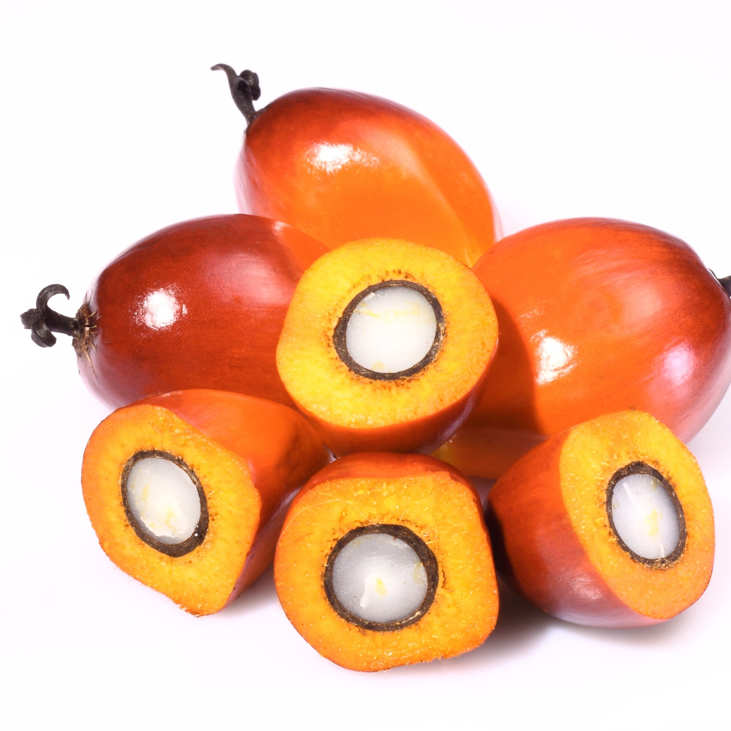 Palm Kernel Oil Organic cold pressed, refined