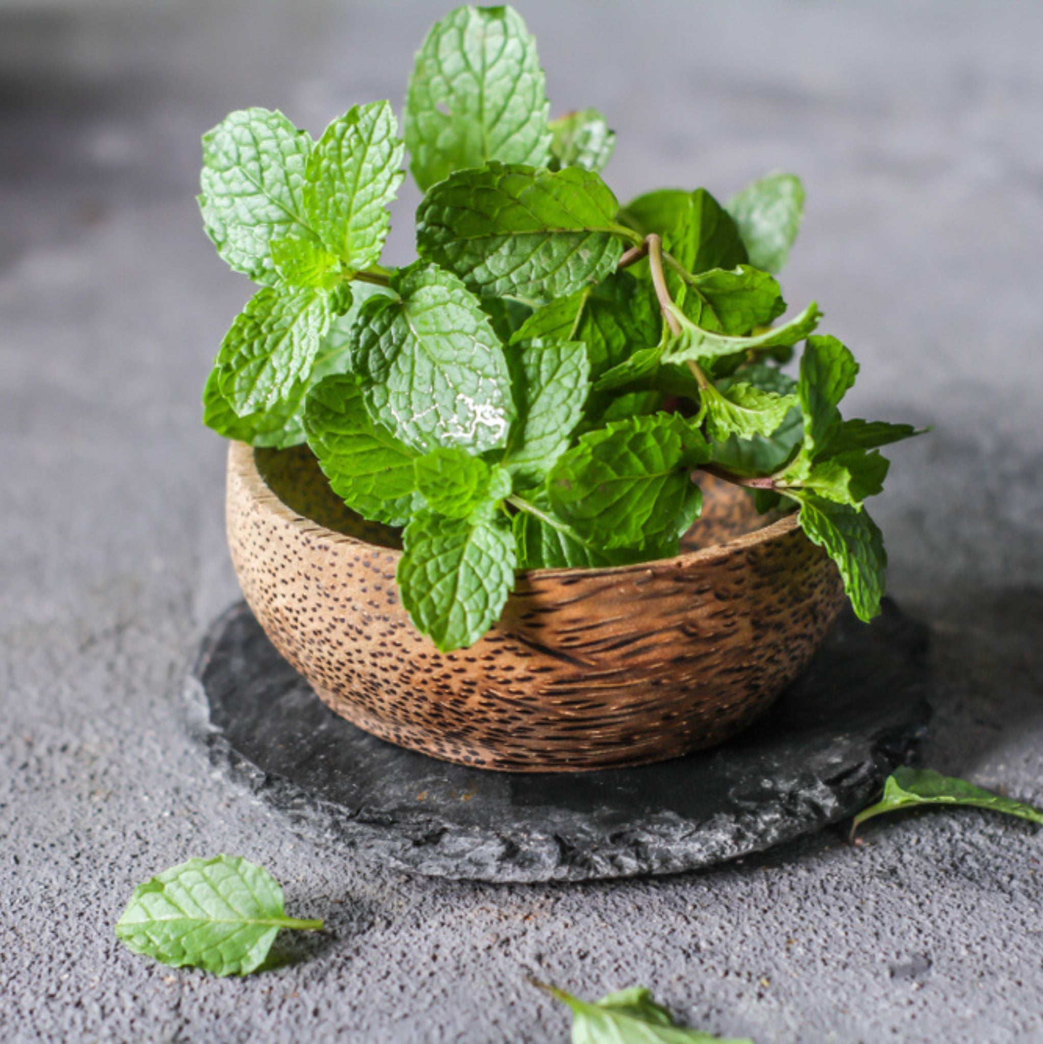 Pfefferminze, ätherisches Öl