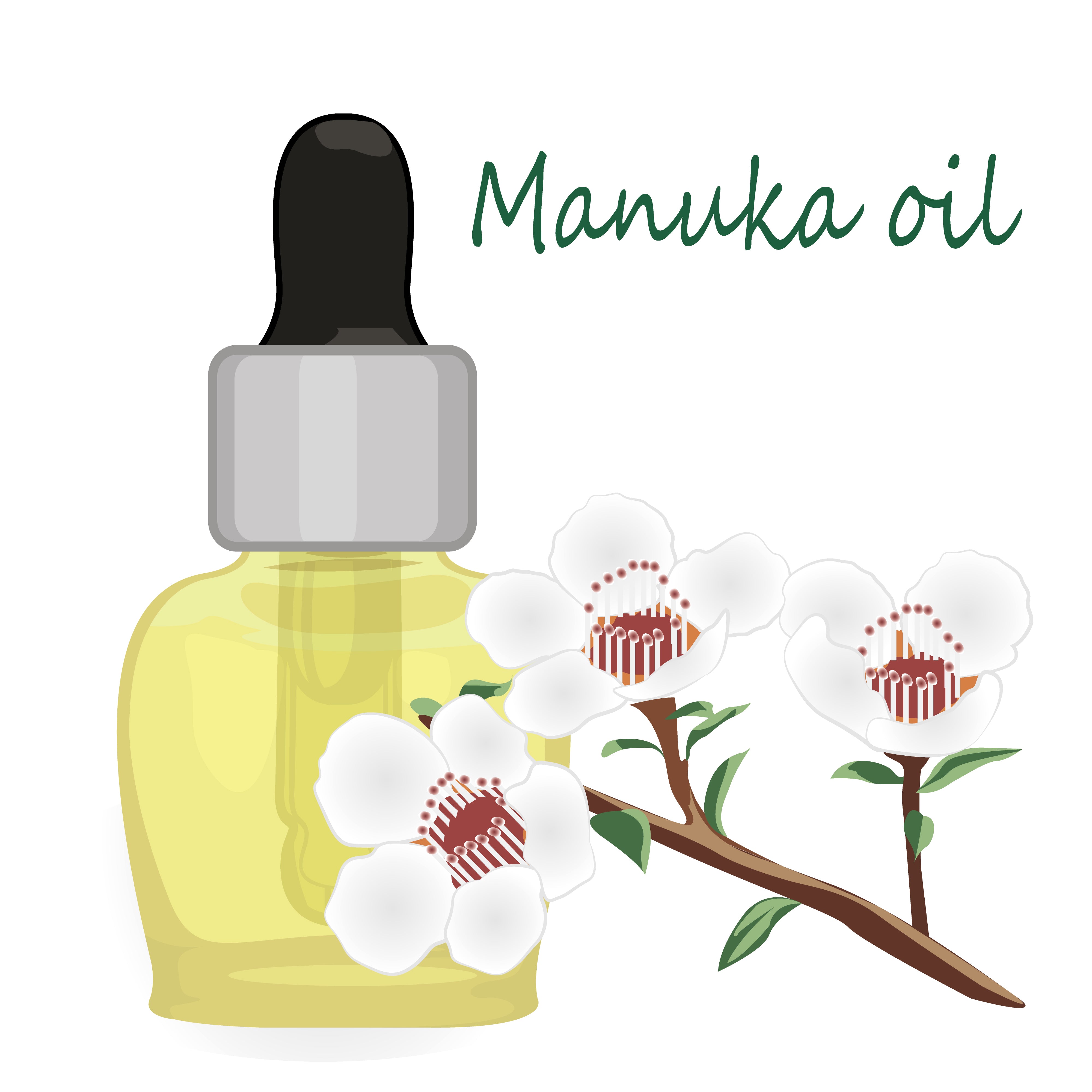 Manuka 10 ml, ätherisches Öl