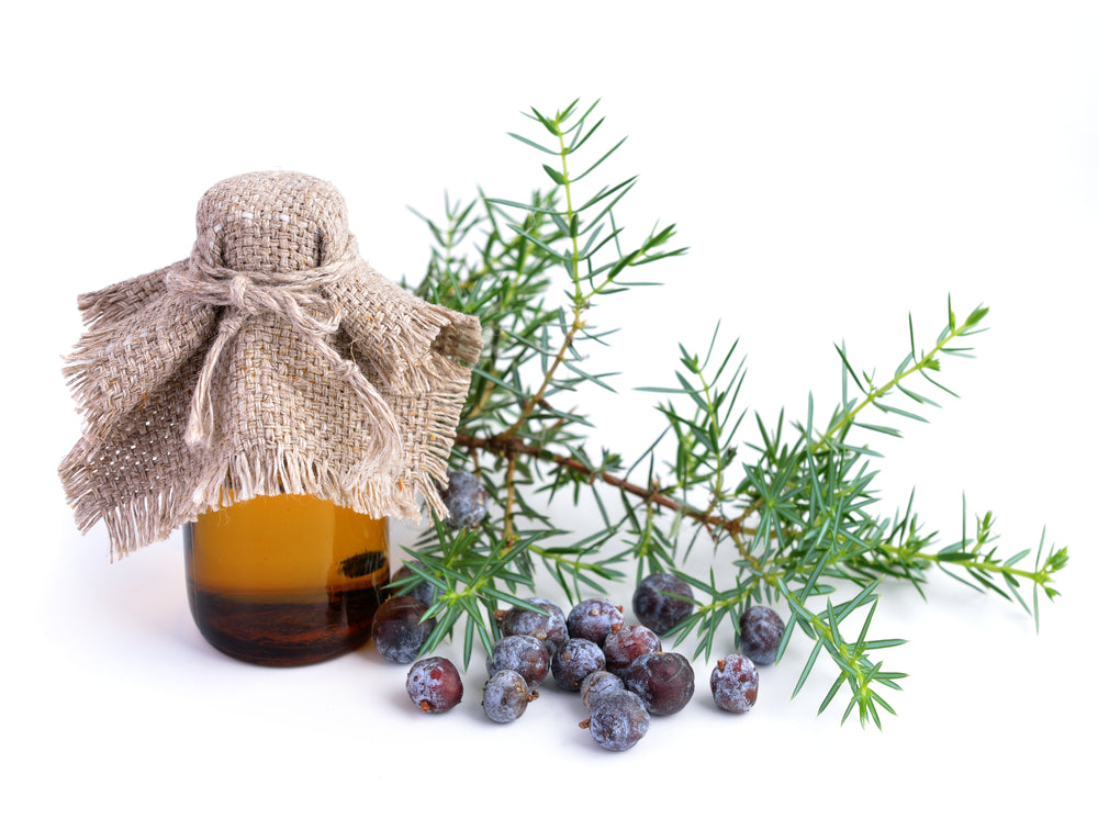 Juniper Berry Himalayan Essential Oil