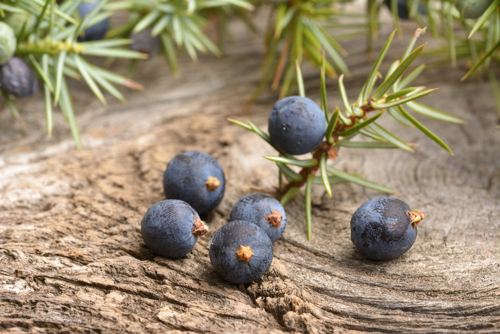 Juniper Berry Himalayan Essential Oil