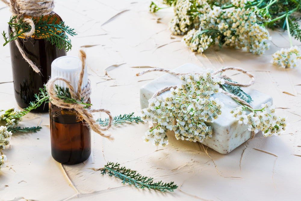 Yarrow Chamazulene Blue Essential Oil