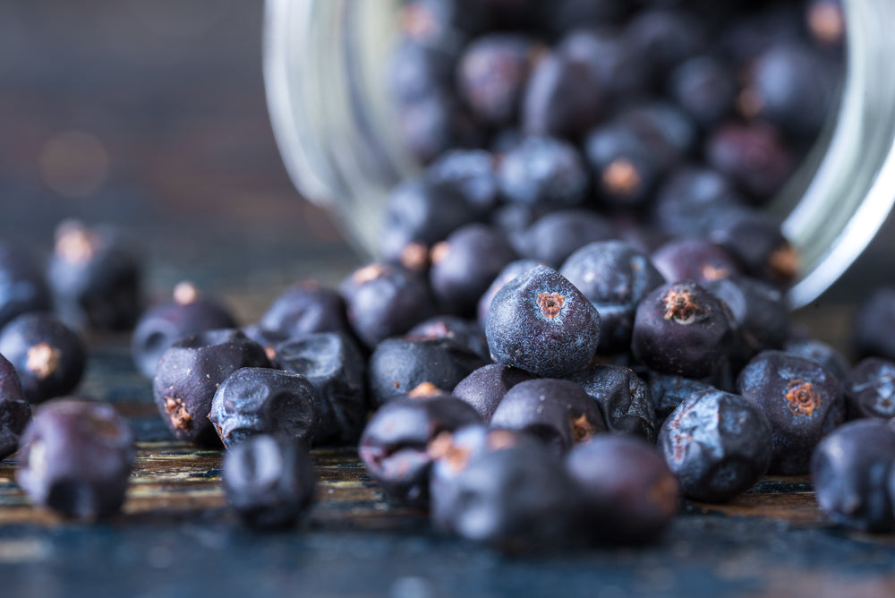 Juniper Berry Himalayan Essential Oil